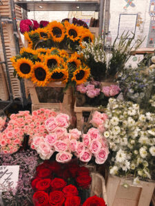 Columbia Flower Market London plant prices